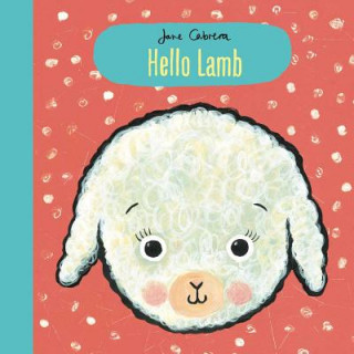 Kniha Hello Lamb Jane Cabrera