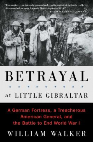 Buch Betrayal at Little Gibraltar: A German Fortress, a Treacherous American General, and the Battle to End World War I William T. Walker