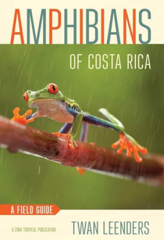 Kniha Amphibians of Costa Rica Twan Leenders