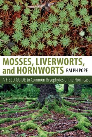 Kniha Mosses, Liverworts, and Hornworts Ralph Pope