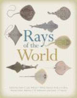 Книга Rays of the World Gavin J. P. Naylor