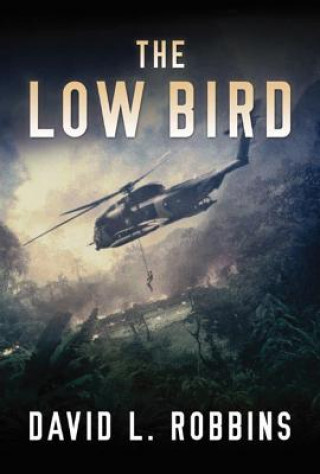 Kniha Low Bird David L. Robbins