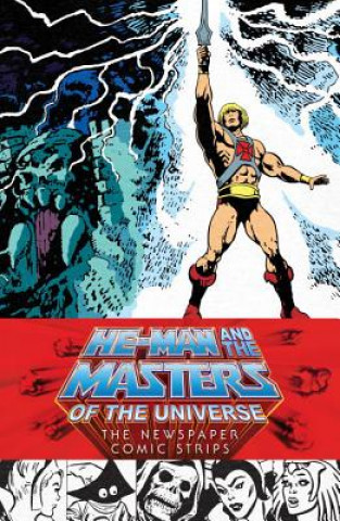 Kniha He-man And The Masters Of The Universe: The Newspaper Comic Strips James Shull