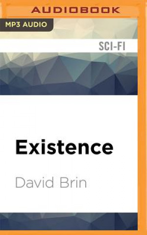 Digital Existence David Brin