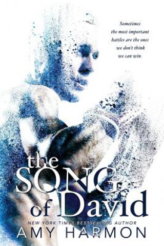 Kniha Song of David Amy Harmon