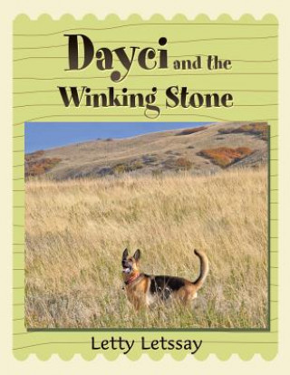 Книга Dayci and the Winking Stone Letty Letssay