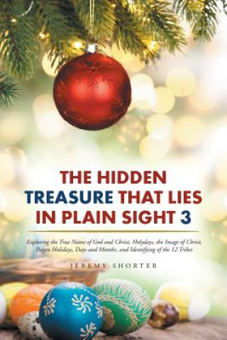 Buch Hidden Treasure That Lies in Plain Sight 3 Jeremy Shorter