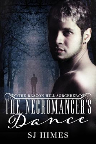 Kniha The Necromancer's Dance S. J. Himes