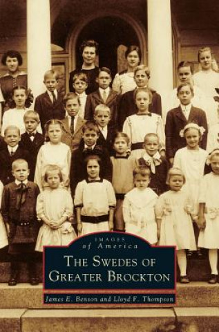 Kniha Swedes of Greater Brockton James E. Benson