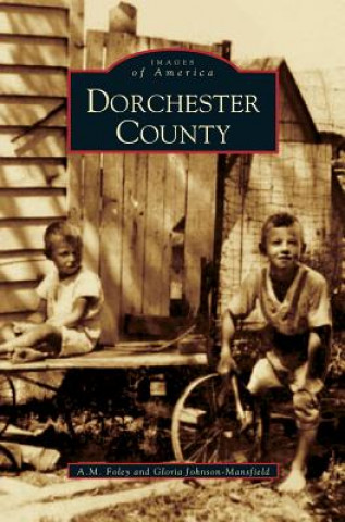 Carte Dorchester County A. M. Foley