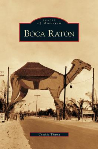 Carte Boca Raton Cynthia Thema