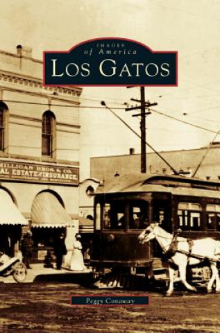 Книга Los Gatos Peggy Conaway