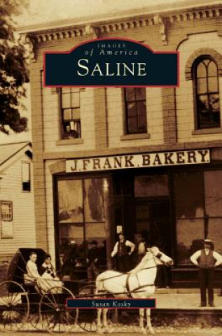 Buch Saline Susan Kosky