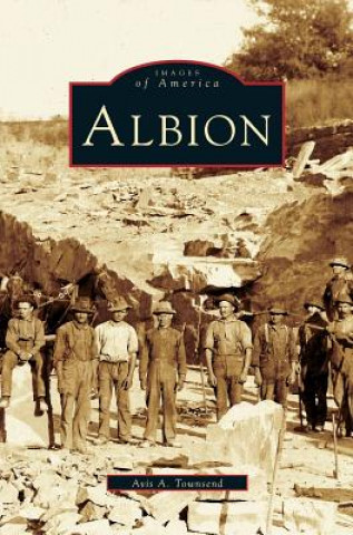 Книга Albion Avis Townsend