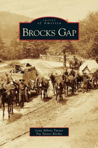 Book Brocks Gap Lena Albrite Turner