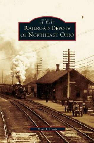 Book Railroad Depots of Northeast Ohio Mark J. Camp