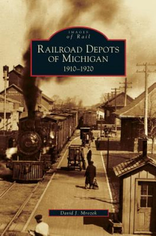 Libro Railroad Depots of Michigan David J. Mrozek