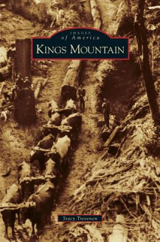 Книга Kings Mountain Stacy Trevenon