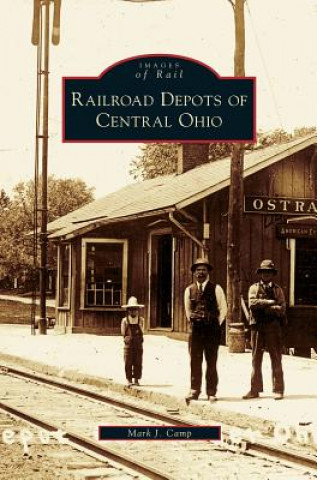 Kniha Railroad Depots of Central Ohio Mark J. Camp