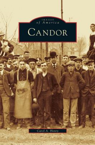 Buch Candor Carol a. Henry