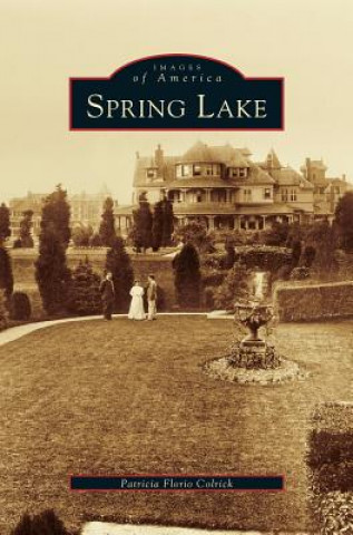 Kniha Spring Lake Patricia Florio Colrick