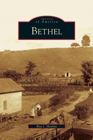 Kniha Bethel Rita J. Sheehan