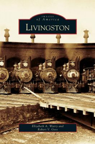 Kniha Livingston Elizabeth a. Watry