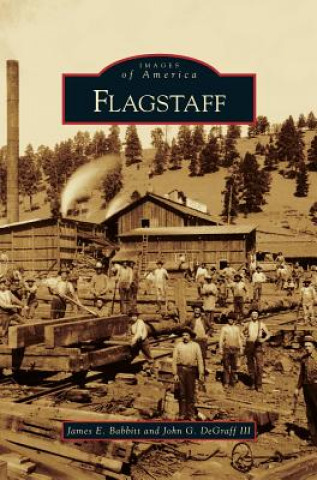 Book Flagstaff James E. Babbitt