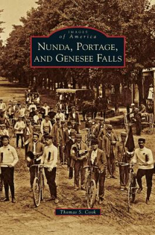 Carte Nunda, Portage, and Genesee Falls Thomas S. Cook