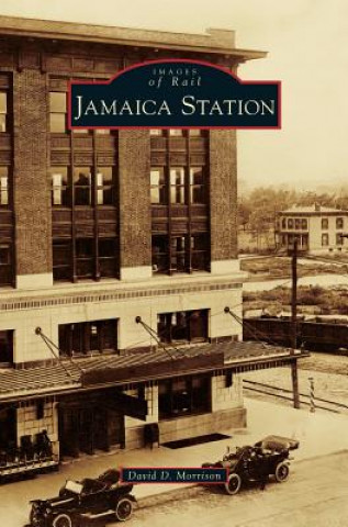 Kniha Jamaica Station David D. Morrison