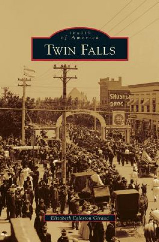 Knjiga Twin Falls Elizabeth Egleston Giraud