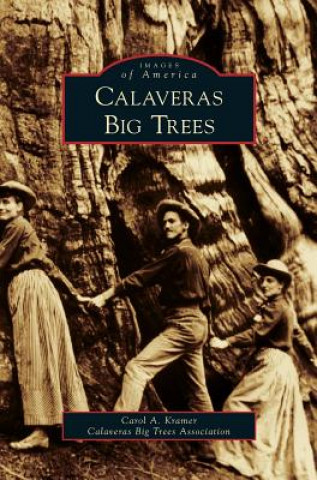 Knjiga Calaveras Big Trees Carol a. Kramer