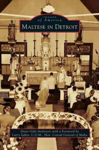 Książka Maltese in Detroit Diane Gale Andreassi