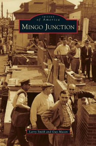 Kniha Mingo Junction Larry Smith