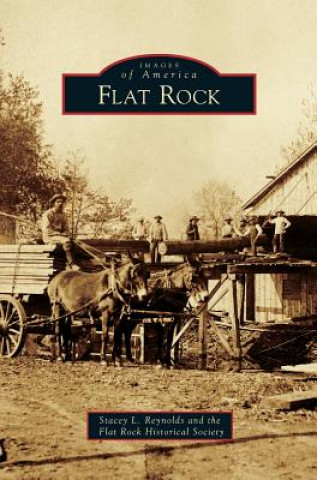 Kniha Flat Rock Stacey L. Reynolds