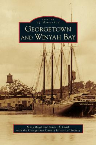 Livre Georgetown and Winyah Bay James H. Clark