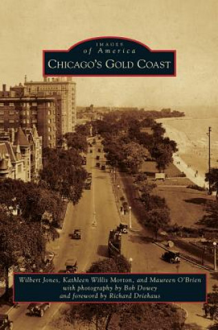 Könyv Chicago's Gold Coast Wilbert Jones