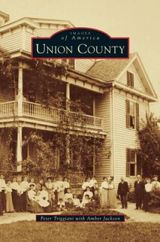 Книга Union County Peter Triggiani
