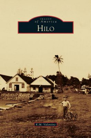 Book Hilo K. M. Valentine