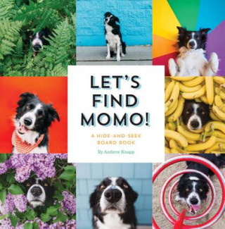 Kniha Let's Find Momo! Andrew Knapp