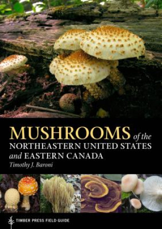 Książka Mushrooms of the Northeastern United States and Eastern Canada Timothy J. Baroni