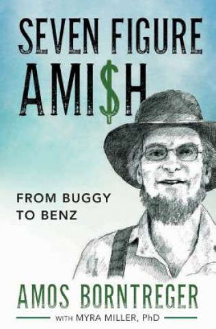 Book Seven Figure Ami$h: From Buggy to Benz Amos Borntreger