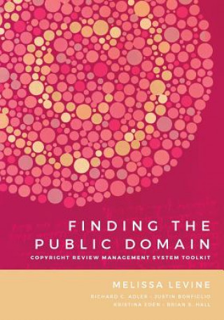 Kniha Finding the Public Domain Melissa Levine