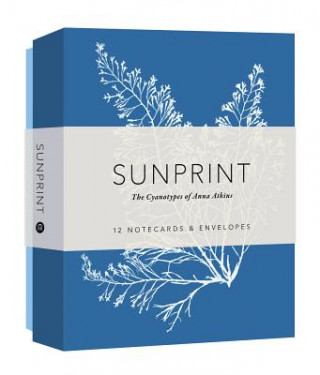 Tiskovina Sunprint Notecards Princeton Architectural Press