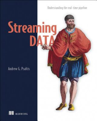 Könyv Streaming Data Andrew Psaltis