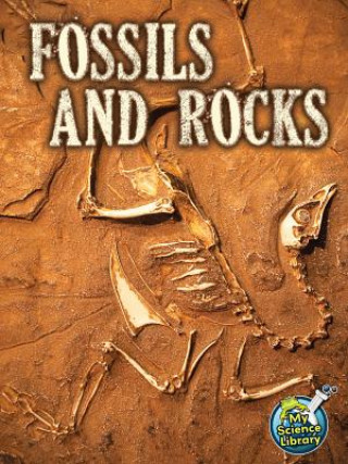 Kniha Fossils and Rocks Kimberly Hutmacher