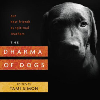 Kniha Dharma of Dogs Tami Simon