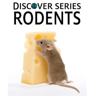 Книга Discover Series Rodents: Discover Series Picture Book for Children Xist Publishing