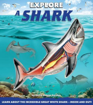 Könyv Gordon, D: Explore a Shark David George Gordon