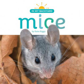 Book Mice Kate Riggs